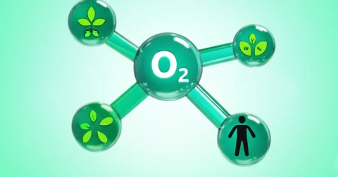 Desvende as principais dúvidas sobre ozonioterapia e seus potenciais benefícios para a sua saúde.